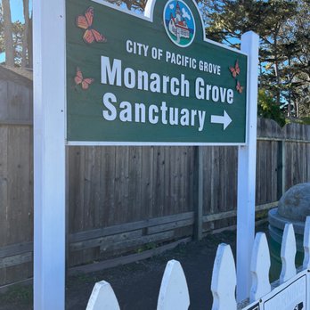 Monarch Grove Sanctuary - Parks Near Me - Pacific Grove, California Monarch Grove Sanctuary - Parks Near Me - Pacific Grove, California