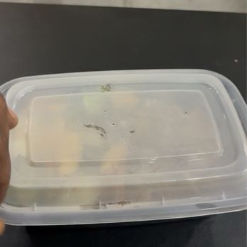 Hibachi Done Wright - Another photo of this disrespectful plate. - Food Trucks Near Me - Las Vegas, Nevada