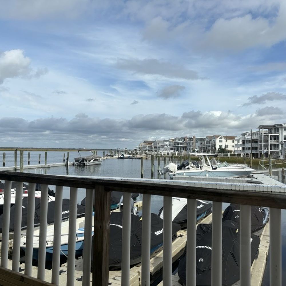 Great view! Great view!