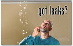 Slide of Excelsior P & H