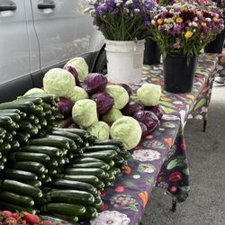 JSM Organics - Vegetables & Flowers