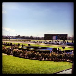 Moonee Valley Racing Club - View from Members - right near the winning post.