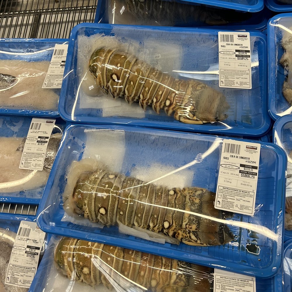 Costco - Lobsters - Department Stores Near Me - Puerto Vallarta, JAL