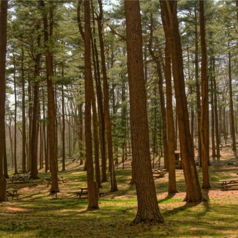 Cutting Edge Tree Professionals - Tree Services Near Me - Pleasant Gap, Pennsylvania