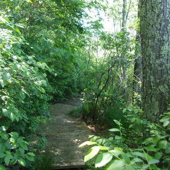 The Knapp Trail - Boardwalk to the viewing platform - Hiking Near Me - Simsbury, Connecticut The Knapp Trail - Boardwalk to the viewing platform - Hiking Near Me - Simsbury, Connecticut