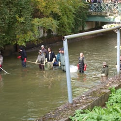Kraftwerk Bäckermühle - Fische einsammeln unterhalb der Bäckermühle