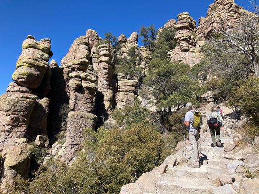 Chiricahua National Monument by null