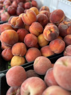 Visalia Farmers' Market by null