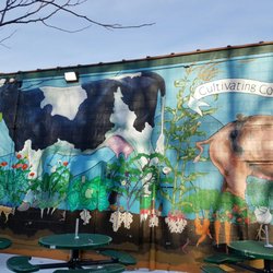 New Pioneer Co-op - Murals outside in parking lot
