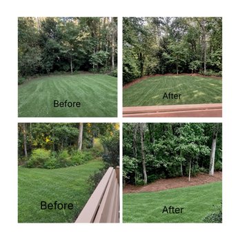 Silverback Tree Experts - Backyard cleanup - Tree Services Near Me Silverback Tree Experts - Backyard cleanup - Tree Services Near Me