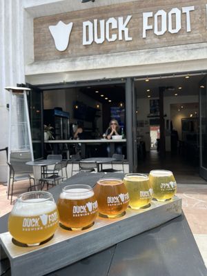 Duck Foot Brewing Leucadia by null