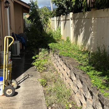 Austin’s lawn services - a garden with a lawn mower - Lawn Services Near Me Austin’s lawn services - a garden with a lawn mower - Lawn Services Near Me