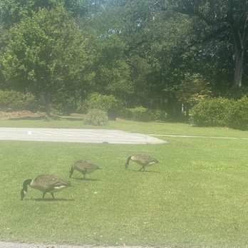 Quarterman Park - Parks Near Me - North Charleston, South Carolina Quarterman Park - Parks Near Me - North Charleston, South Carolina