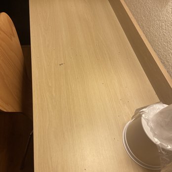 Motel 6 - Counter with ants - Hotels Near Me - Big Bear Lake, California Motel 6 - Counter with ants - Hotels Near Me - Big Bear Lake, California