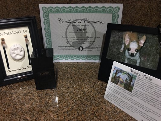 compassionate pet cremation