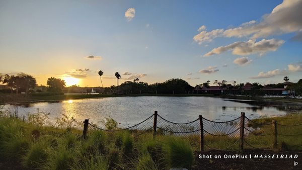 Disney's Coronado Springs Resort by null