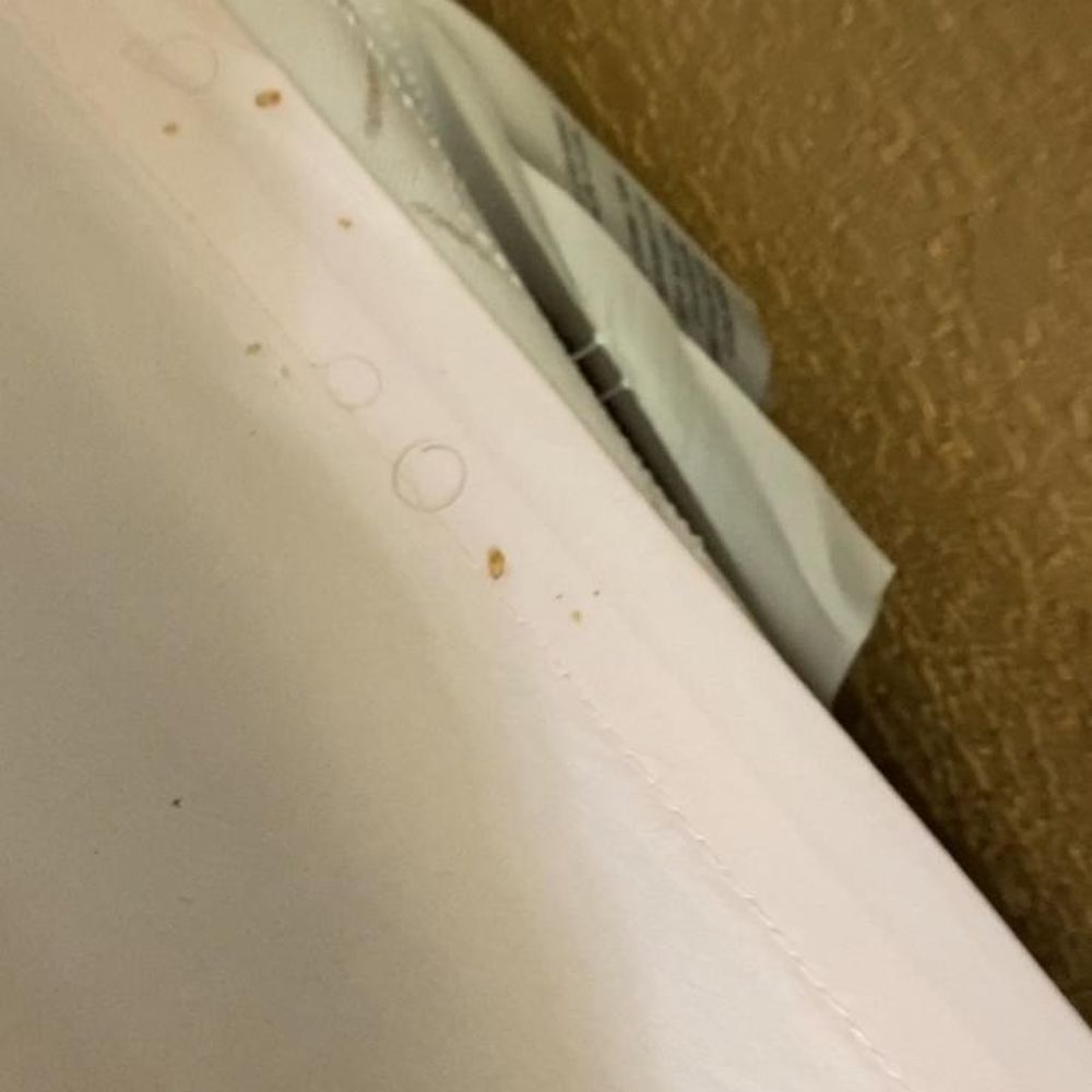 Bed Bugs and Pubes