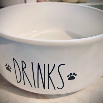 Burlington - A new water-dish for my fur baby - Department Stores Near Me - Reno, Nevada Burlington - A new water-dish for my fur baby - Department Stores Near Me - Reno, Nevada