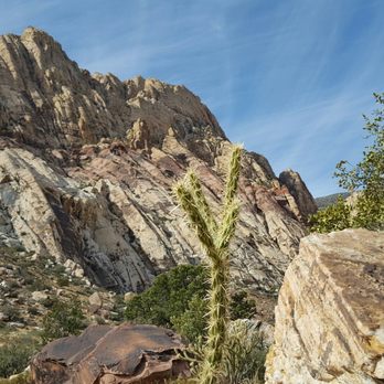First Creek Trail - Hiking Near Me - Las Vegas, Nevada