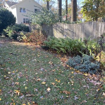 Silas Landscaping & Cleaning Services - Before - backyard - Landscaping Near Me Silas Landscaping & Cleaning Services - Before - backyard - Landscaping Near Me