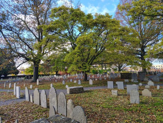 The Burying Point by null