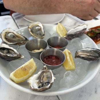 Barbusa - Oysters 1/2 Dozen - Italian Near Me - San Diego, California