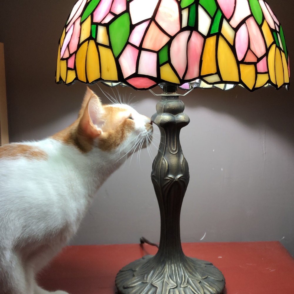 Got 2 Have it! Antiques - Antique Tiffany lamp - Antiques Near Me - Vero Beach, Florida Got 2 Have it! Antiques - Antique Tiffany lamp - Antiques Near Me - Vero Beach, Florida