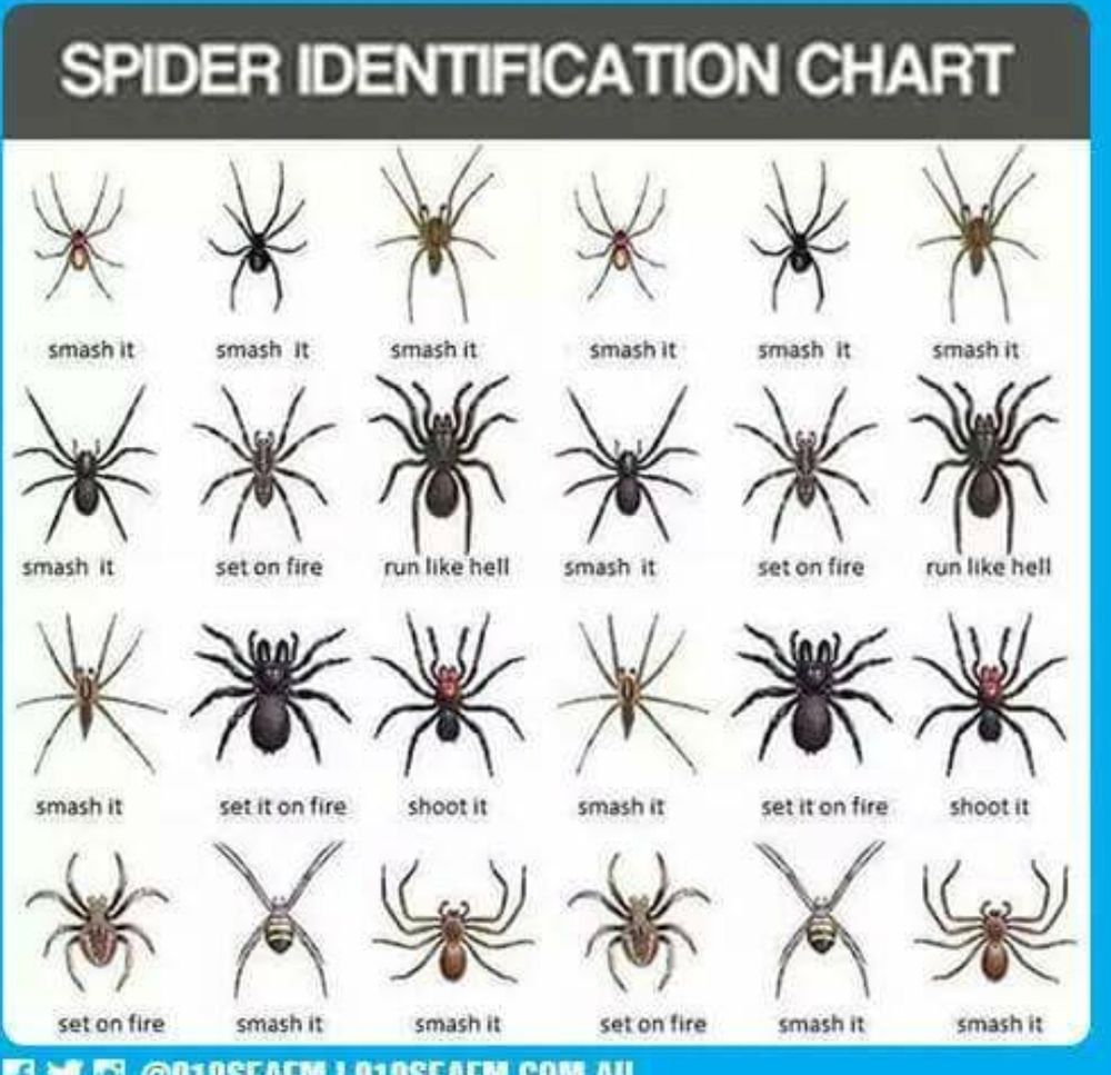 ALLPRO PEST & WEED CONTROL Updated September 2024 31 Photos & 10