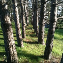 Lone Oak Golf Course