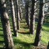 Lone Oak Golf Course gift card