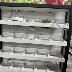 Petland Overland Park - Empty display. No other fish.