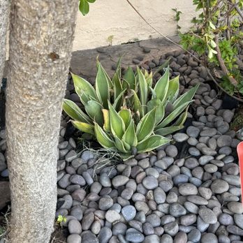 HNP Landscaping - After - Landscaping Near Me HNP Landscaping - After - Landscaping Near Me