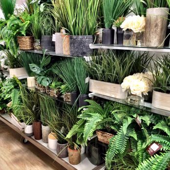 HomeGoods - Artificial Plants - Furniture Stores Near Me - Sacramento, California HomeGoods - Artificial Plants - Furniture Stores Near Me - Sacramento, California