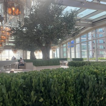 RH Rooftop Restaurant at RH Oklahoma City - Ambiance - Breakfast & Brunch Near Me - Oklahoma City, Oklahoma