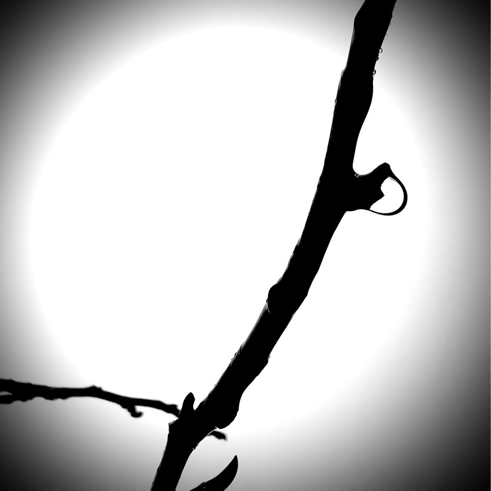 MINT SALON BLOCK Updated September 2024 75 Clearwater Dr, Falmouth