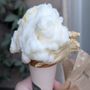 Photo of Gelateria Umberto