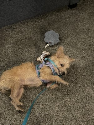 Ocean Echo Inn & Beach Cottages by null