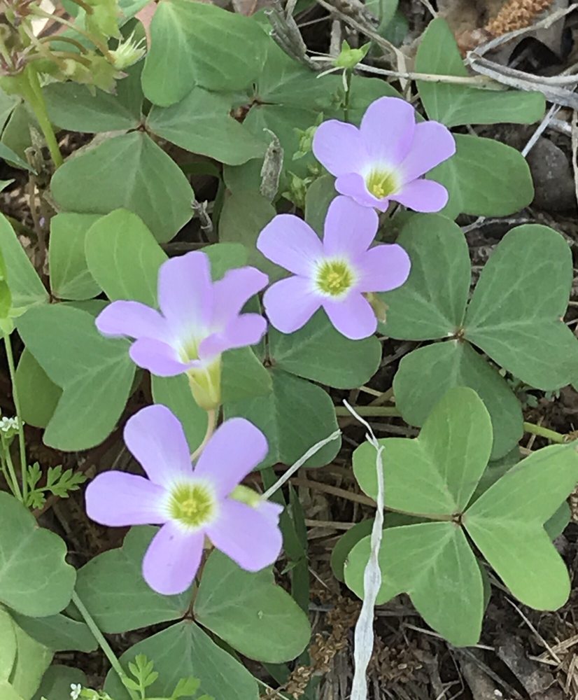 HOMINY MUNICIPAL LAKE 24903 OK20, Hominy, OK Yelp