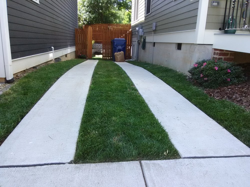 Essential Scapes - tree service in Raleigh, NC