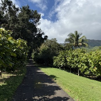 21 Degrees Estate - Tours Near Me - Kaneohe, Hawaii