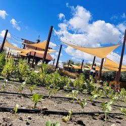 The Farm at Fairplex - Beautiful day for the farm