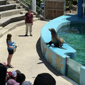 Six Flags - Amusement Parks Near Me - Vallejo, California