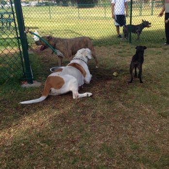 Berry Street Park - Hanging in the shade by the dog bowl - Dog Parks Near Me - Lemon Grove, California