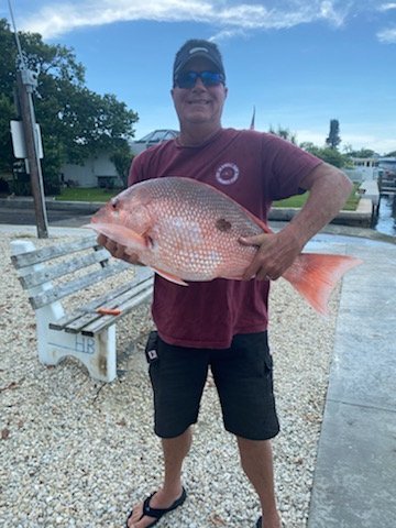 Slide of Mighty Dog Roofing