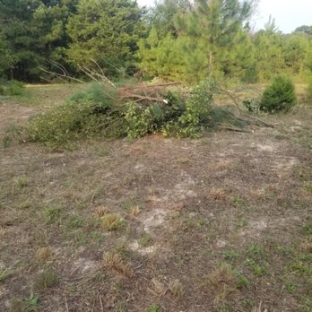 Quick Drops Lawn Care - Lawn Services Near Me - Tyler, Texas Quick Drops Lawn Care - Lawn Services Near Me - Tyler, Texas