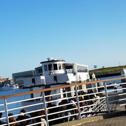Bay Celebrations