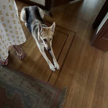 ANIA’S SWEET SECRETS HOME BAKERY - Updated February 2026 - 145 Photos