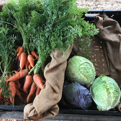 Reno Food Systems by null