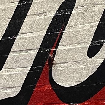 Raising Cane's Chicken Fingers - A roach is in the picture on the letter "N" - Fast Food Near Me - Tomball, Texas Raising Cane's Chicken Fingers - A roach is in the picture on the letter "N" - Fast Food Near Me - Tomball, Texas