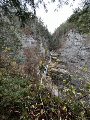 Robert H. Treman State Park by null